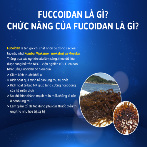 Viên uống bảo vệ sức khỏe Fucoidan EX 150 viên